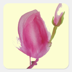 Sticker Carré Pink magnolia watercolour flower art