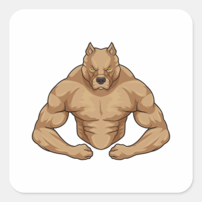 Sticker Carré Pitbull comme Bodybuilder extrême (Devant)