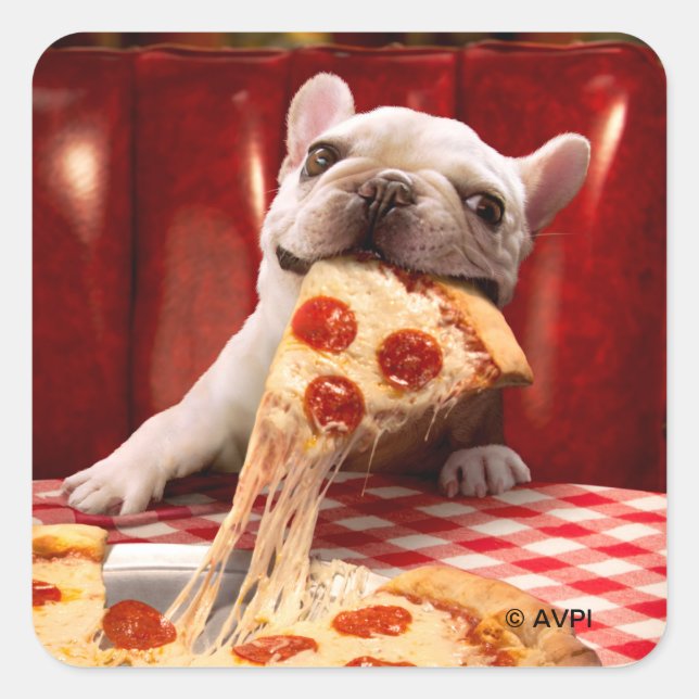 Sticker Carré Pizza Slice mangeur de chien (Devant)