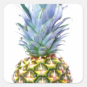 Sticker Carré Plage de fruits d'ananas Dessert Tropical Coloré