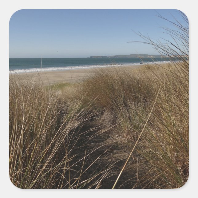 Sticker Carré Plage Limantour à Point Reyes National Seashore I (Devant)