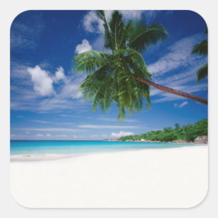 Sticker Carré Plage tropicale Seychelles