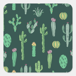 Sticker Carré Plantes de Cactus : Arrière - plan Vintage sans co
