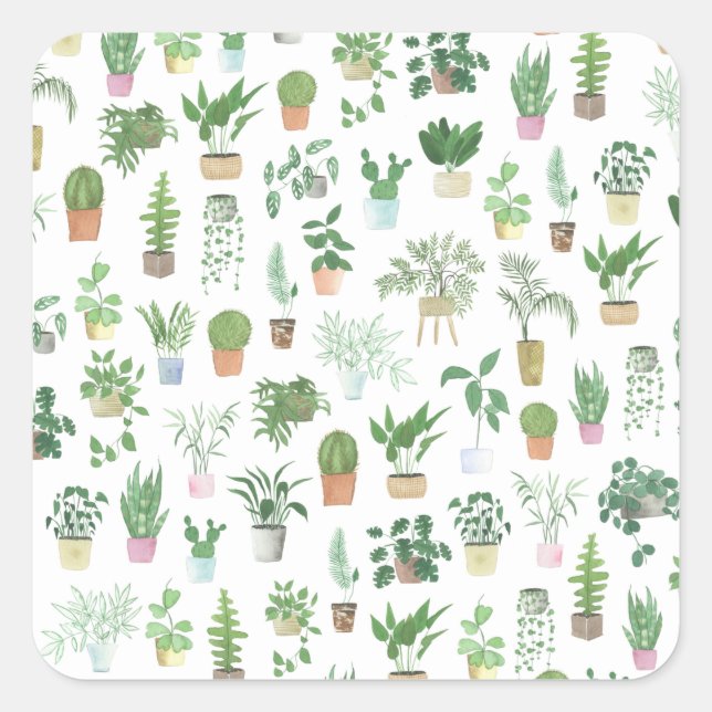 Sticker Carré Plants de Plants (Devant)