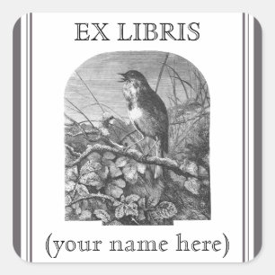 Sticker Carré Plaque vintage de gravure d'oiseau