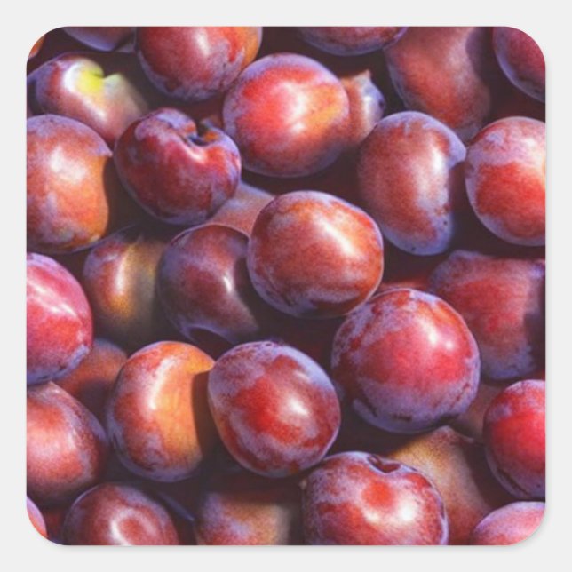 Sticker Carré Plums (Devant)