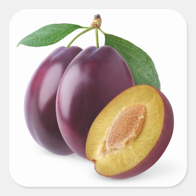 Sticker Carré Plums pourpres (Devant)