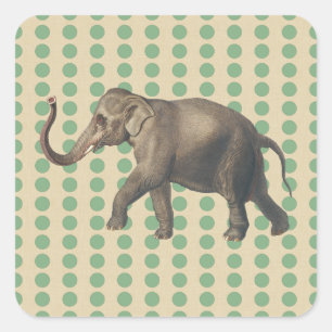 Sticker Carré Poids d'épices à feuilles de baie avec éléphant