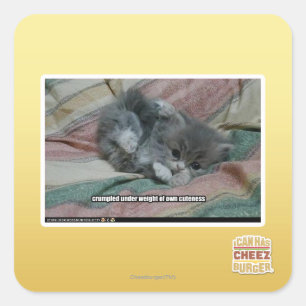 Sticker Carré Poids propre