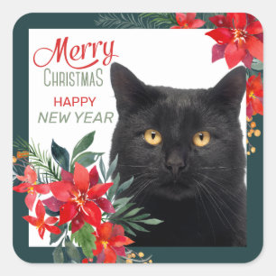 Sticker Carré Poinsettia Bordure Chat Noir Noël