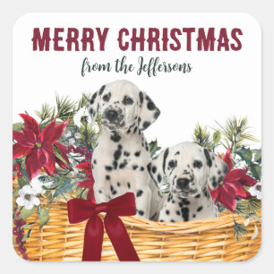 Sticker Carré Poinsettia Puppies dalmate Panier de Noël
