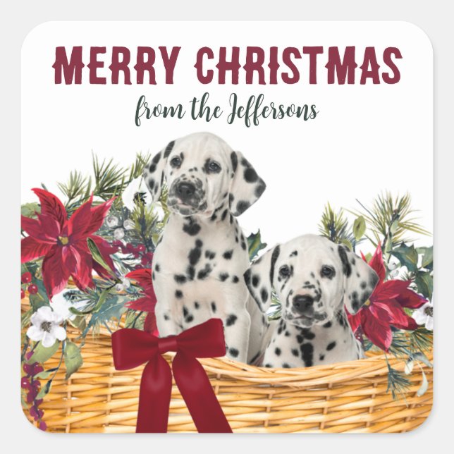 Sticker Carré Poinsettia Puppies dalmate Panier de Noël (Devant)