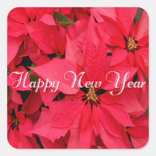 Sticker Carré Poinsettias Rouge Fleurs Floral Bonne année