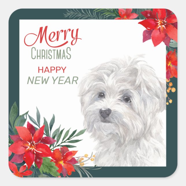 Sticker Carré Poinsettie de chien maltais frontière Noël (Devant)