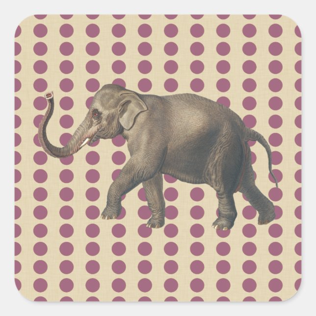 Sticker Carré Pois d'épice de prune avec éléphant (Devant)