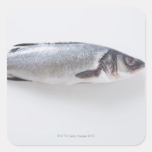 Sticker Carré Poisson de ramizini entier