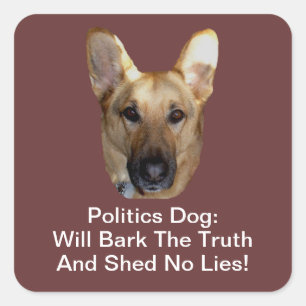 Sticker Carré Politique Chien Berger Allemand Va Écorcher La Vér
