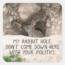 Politique Rabbit Hole Bunny Photo Politique Humour