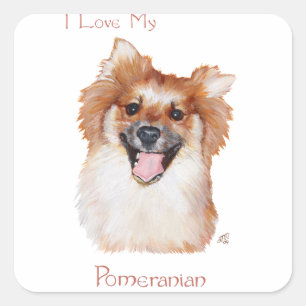 Sticker Carré Poméranie