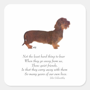 Sticker Carré Pont arc-en-ciel de Dachshund