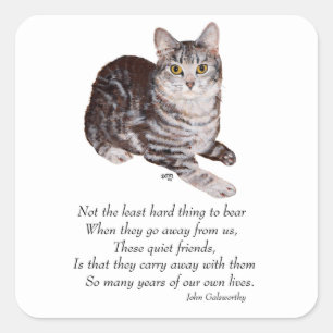 Sticker Carré Pont Rainbow Tabby Cat