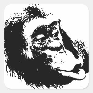 Sticker Carré Pop Art drôle Chimpanzé