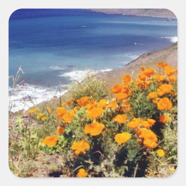 Sticker Carré Poppies de Californie (Devant)