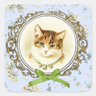 Sticker Carré Portrait de chat vintage doux