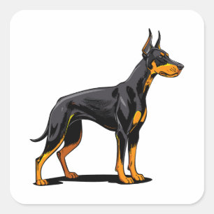 Sticker Carré Portraits d'un chien Doberman tête vue de face
