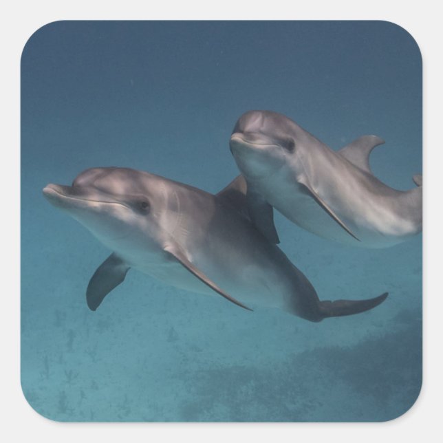 Sticker Carré Pose joueuse (Devant)