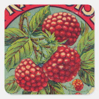 Sticker Carré Poster vintage de fruits français
