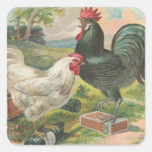 Sticker Carré Poulet et coq