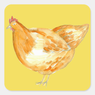 Sticker Carré Poulets jaunes