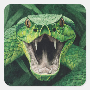 Sticker Carré Primal Power 008 – Serpent