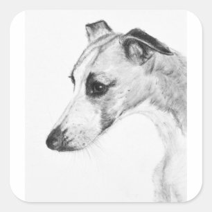 Sticker Carré Profil Whippet