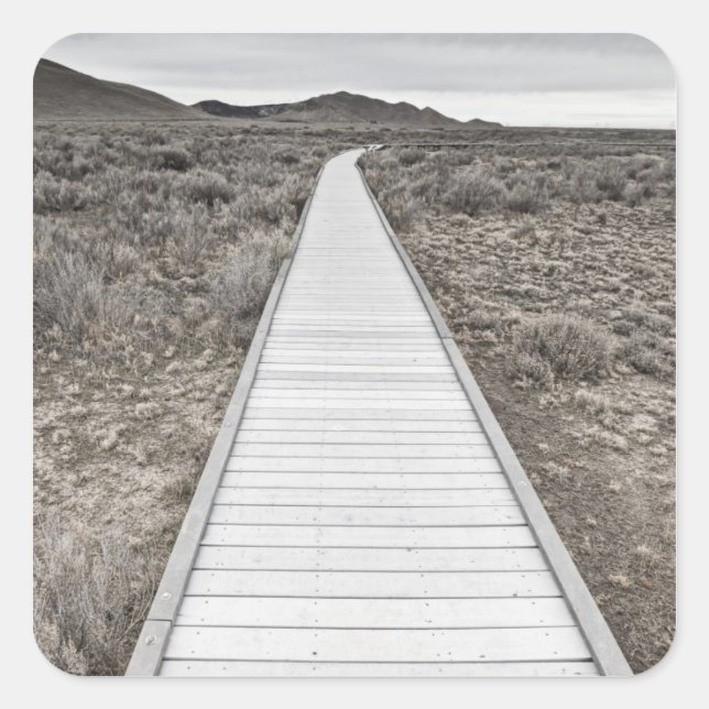 Sticker Carré Promenade à travers le désert (Devant)