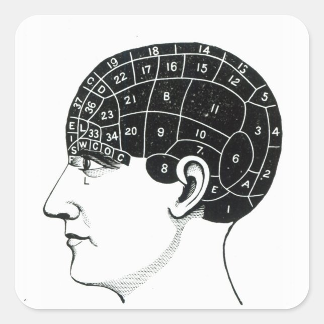 Sticker Carré Proportions domestiques (Devant)