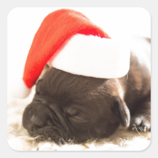 Sticker Carré PUPPER AVEC BÂTIMENT À chapeau de Père Noël
