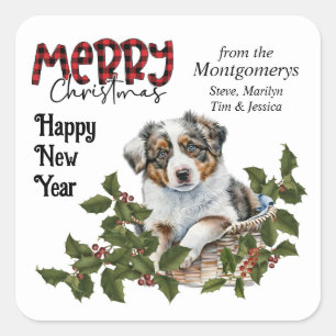 Sticker Carré Puppy Holly Pasket Shepherd'Australie Noël