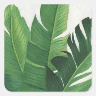 Sticker Carré Pura Vida - Feuilles tropicaux