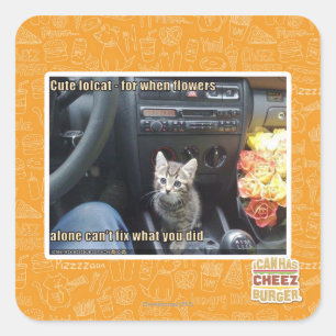 Sticker Carré Quand les fleurs ne suffisent pas