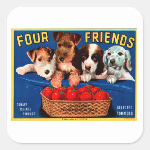 Sticker Carré Quatre amis