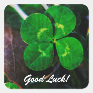 Sticker Carré Quatre Leaf Clover Lucky