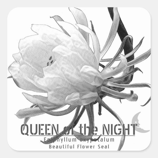 Sticker Carré Queen of the Night スクエアシール (Devant)