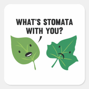 Sticker Carré Qu'est-ce que Stomata avec toi ?