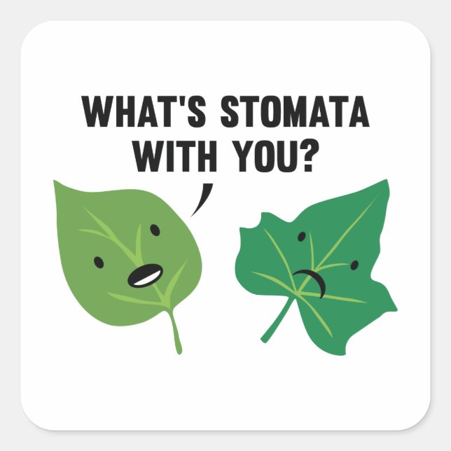 Sticker Carré Qu'est-ce que Stomata avec toi ? (Devant)