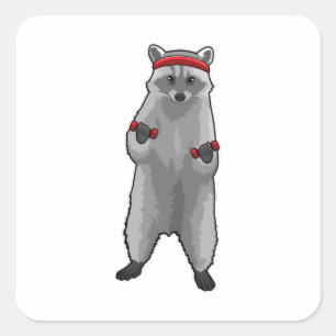 Sticker Carré Racoon à Fitness avec Dumbbells