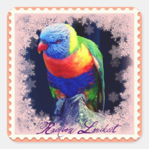 STICKER CARRÉ RAINBOW LORIKEET