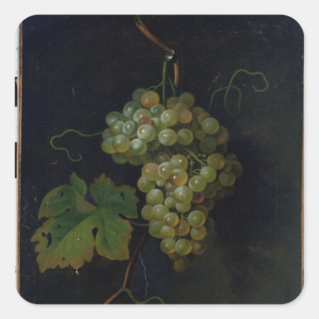 Sticker Carré Raisins (Devant)