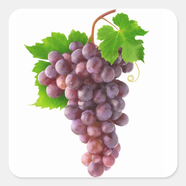 Sticker Carré Raisins rouges (Devant)